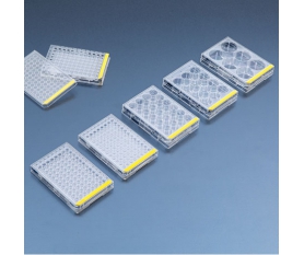 6 - 96孔板组织细胞培养板